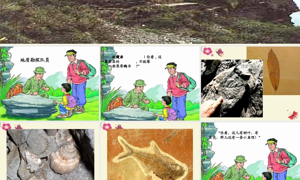 二年级语文下册 第2单元 7《岩石书》课件9 语文S版-语文S版小学二年级下册语文课件