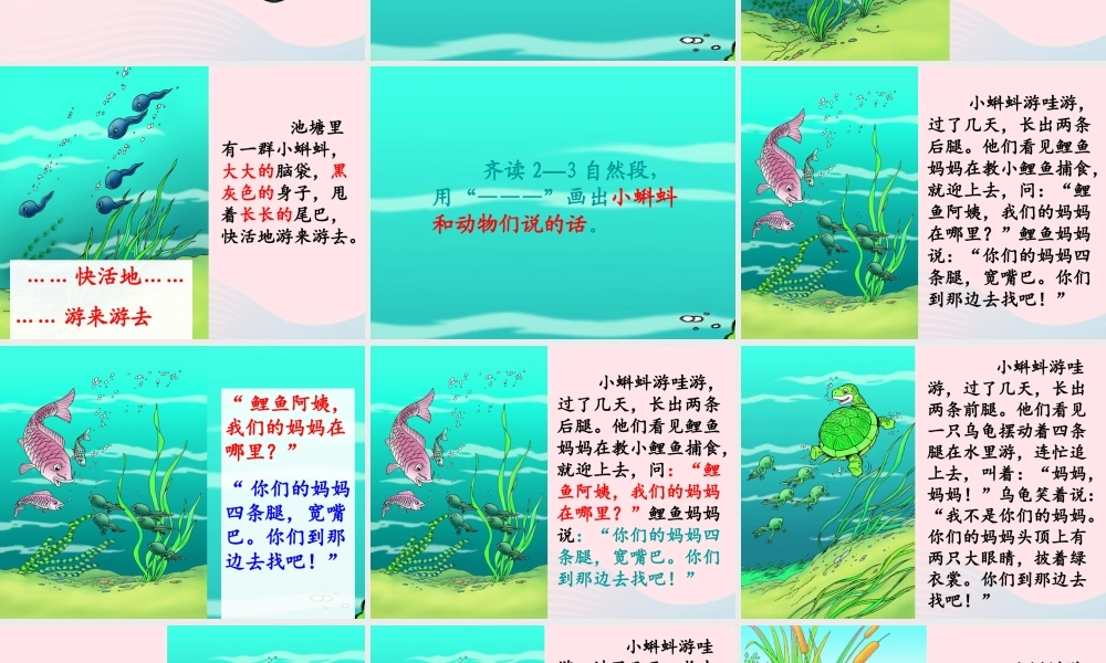 二年级语文上册 课文1 1 小蝌蚪找妈妈教学课件 新人教版-新人教版小学二年级上册语文课件