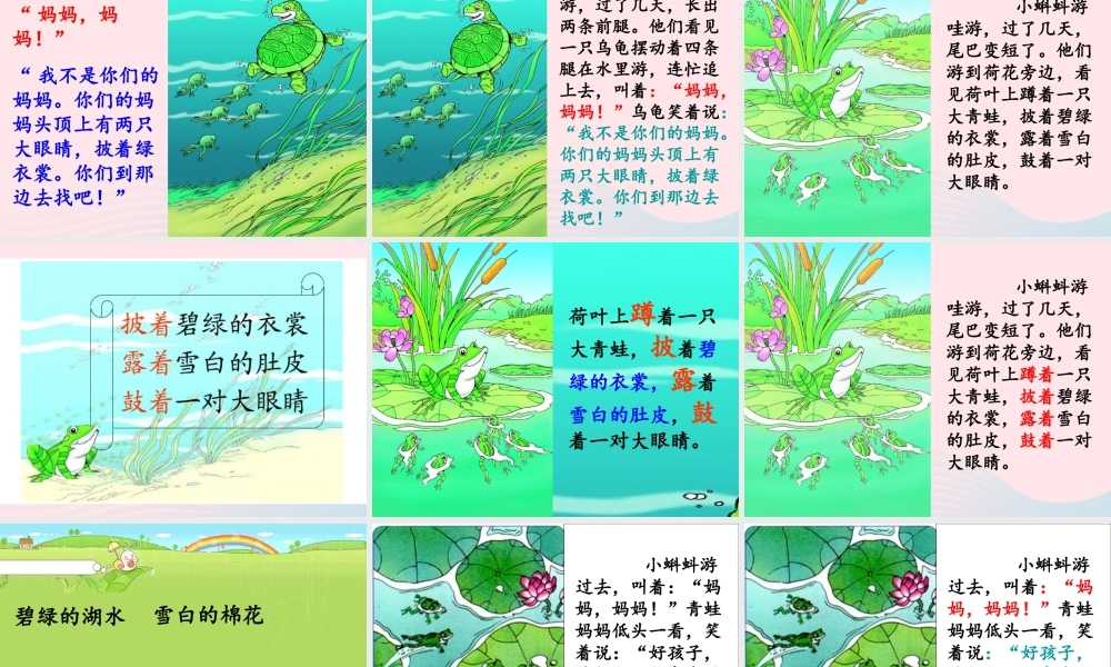 二年级语文上册 课文1 1 小蝌蚪找妈妈教学课件 新人教版-新人教版小学二年级上册语文课件