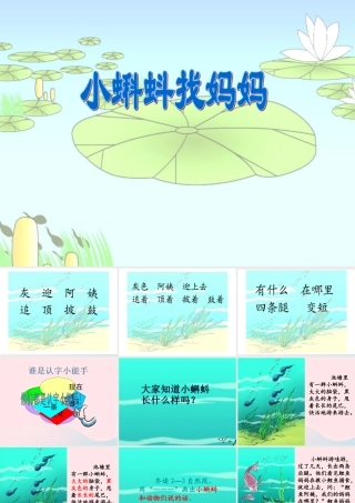 二年级语文上册 课文1 1 小蝌蚪找妈妈教学课件 新人教版-新人教版小学二年级上册语文课件