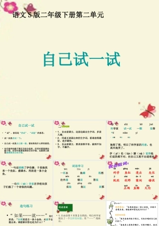 二年级语文下册 第2单元 8《自己试一试》课件5 语文S版-语文S版小学二年级下册语文课件