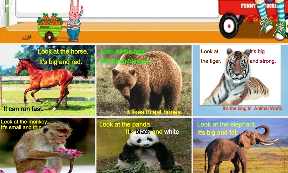 二年级英语下册 unit2课件 沪教牛津版