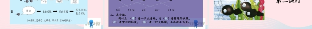 二年级语文上册 课文1 1《小蝌蚪找妈妈》教学课件 新人教版-新人教版小学二年级上册语文课件