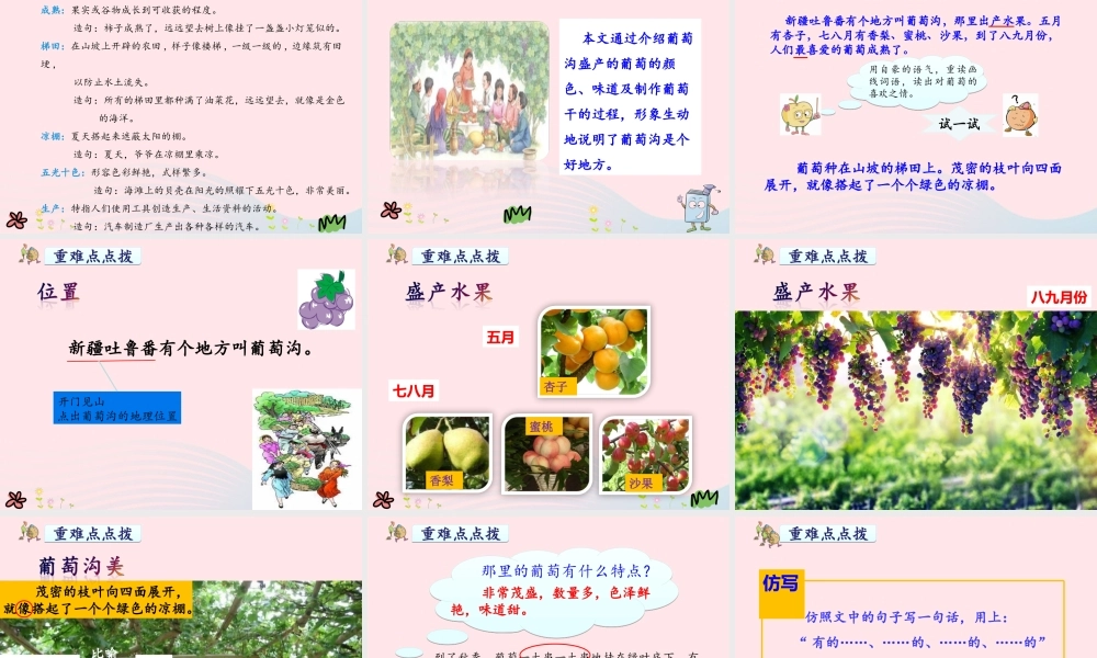 二年级语文上册 课文3 11《葡萄沟》教学课件 新人教版-新人教版小学二年级上册语文课件