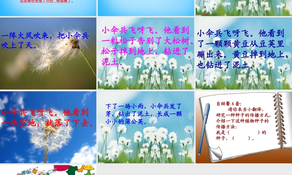二年级语文上册《蒲公英的种子》课件1 语文A版-语文A版小学二年级上册语文课件