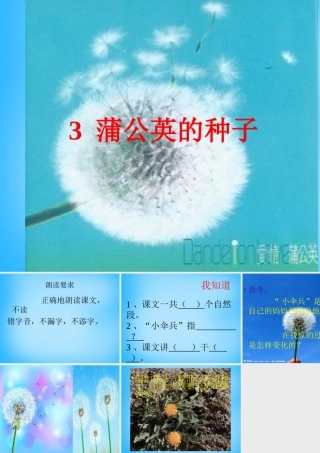 二年级语文上册《蒲公英的种子》课件2 语文A版-语文A版小学二年级上册语文课件