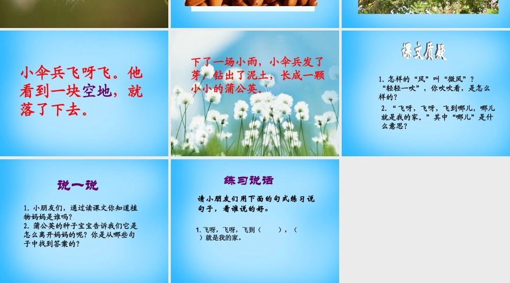 二年级语文上册《蒲公英的种子》课件3 语文A版-语文A版小学二年级上册语文课件