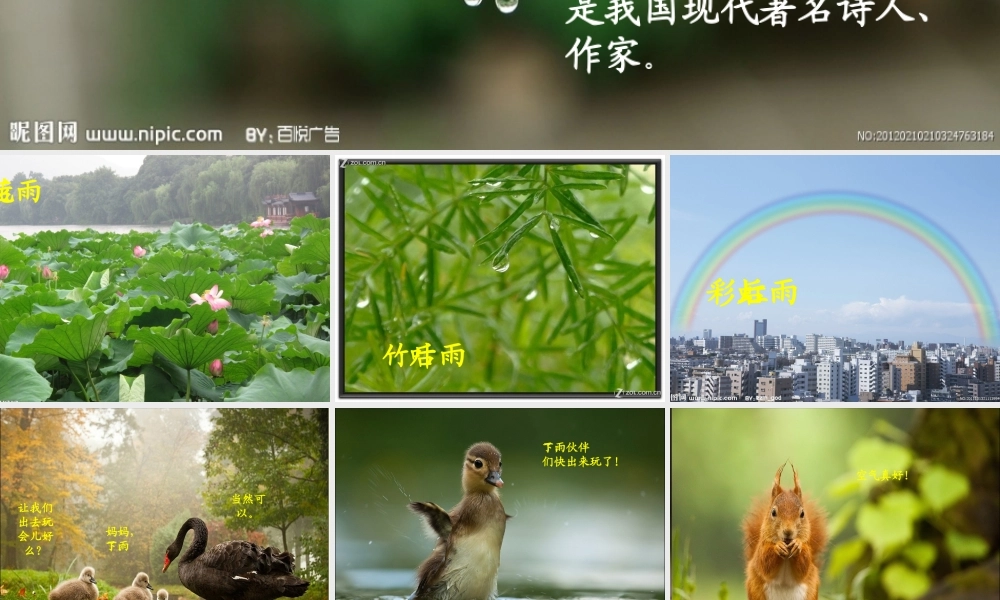 二年级语文下册 第3单元 9《雨后》课件3 语文S版-语文S版小学二年级下册语文课件