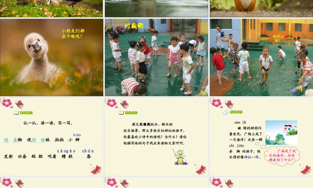 二年级语文下册 第3单元 9《雨后》课件3 语文S版-语文S版小学二年级下册语文课件