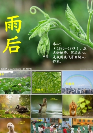 二年级语文下册 第3单元 9《雨后》课件3 语文S版-语文S版小学二年级下册语文课件