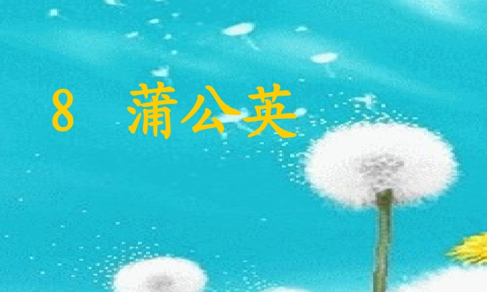 二年级语文上册《蒲公英的种子》课件4 语文A版-语文A版小学二年级上册语文课件