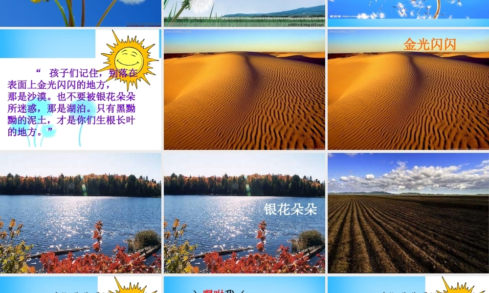 二年级语文上册《蒲公英的种子》课件4 语文A版-语文A版小学二年级上册语文课件