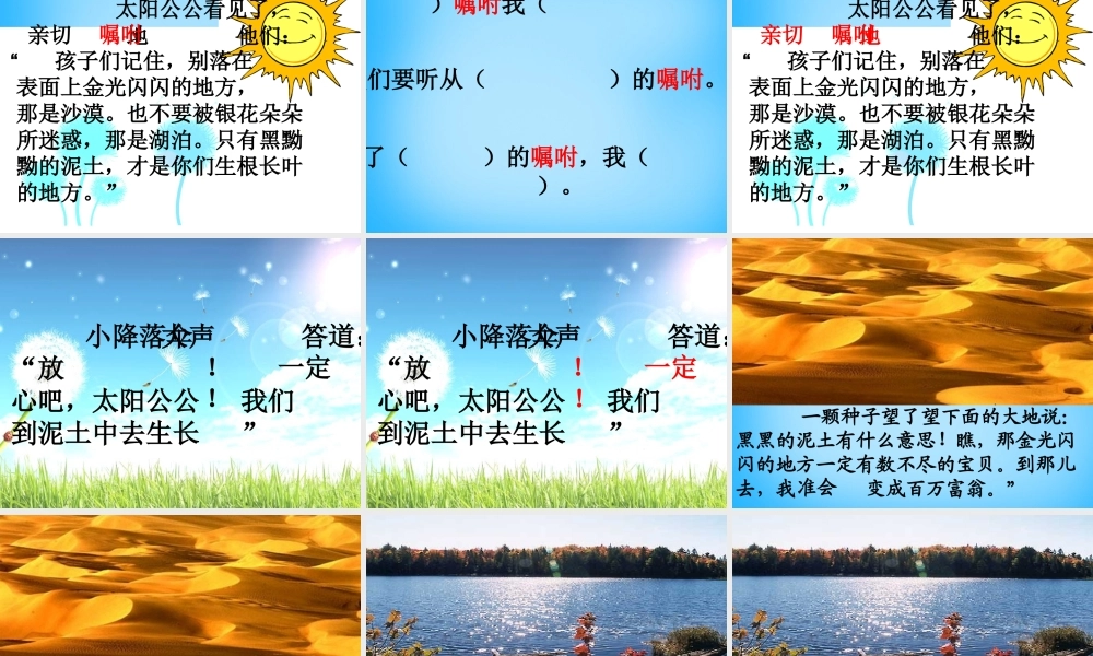 二年级语文上册《蒲公英的种子》课件4 语文A版-语文A版小学二年级上册语文课件