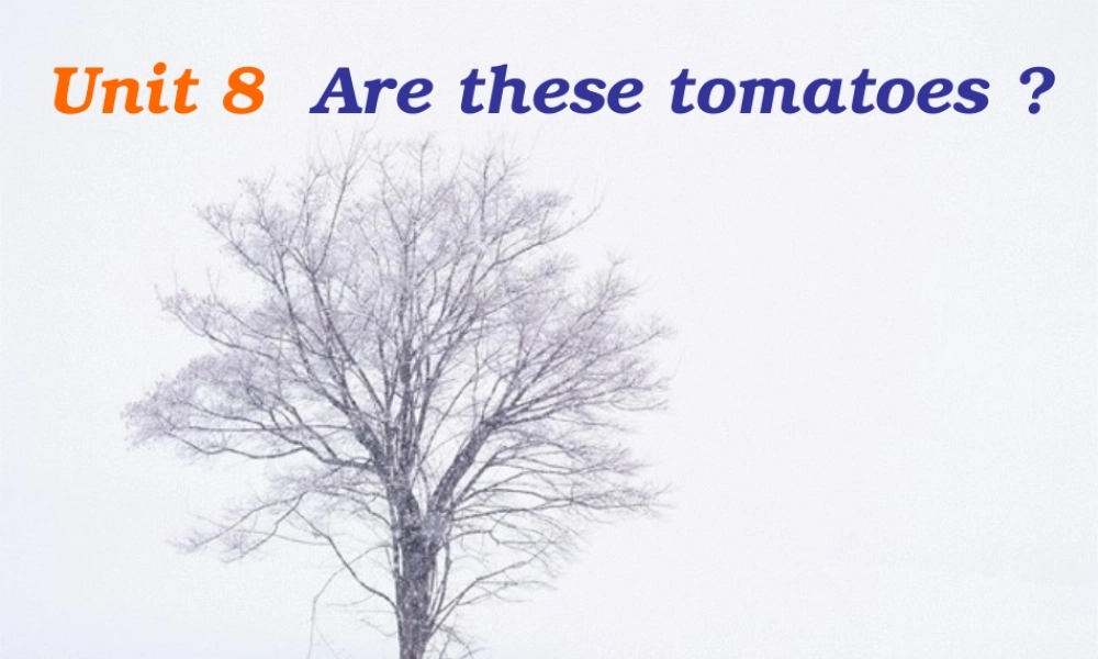 二年级英语下册 Unit8Are these tomatos(2)课件 北师大版