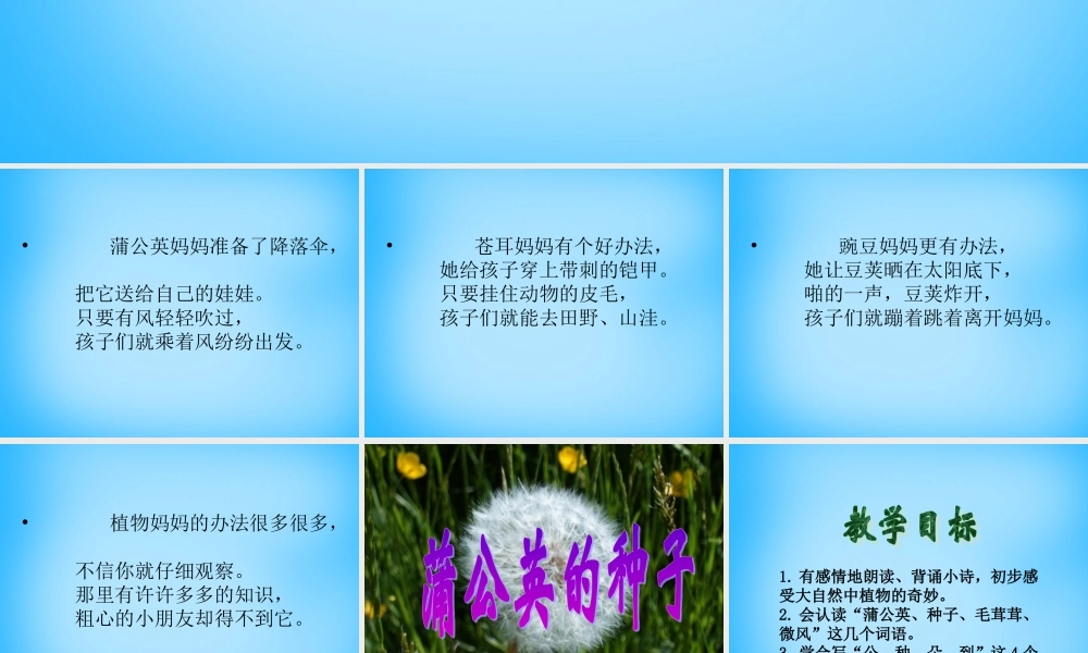 二年级语文上册《蒲公英的种子》课件5 语文A版-语文A版小学二年级上册语文课件