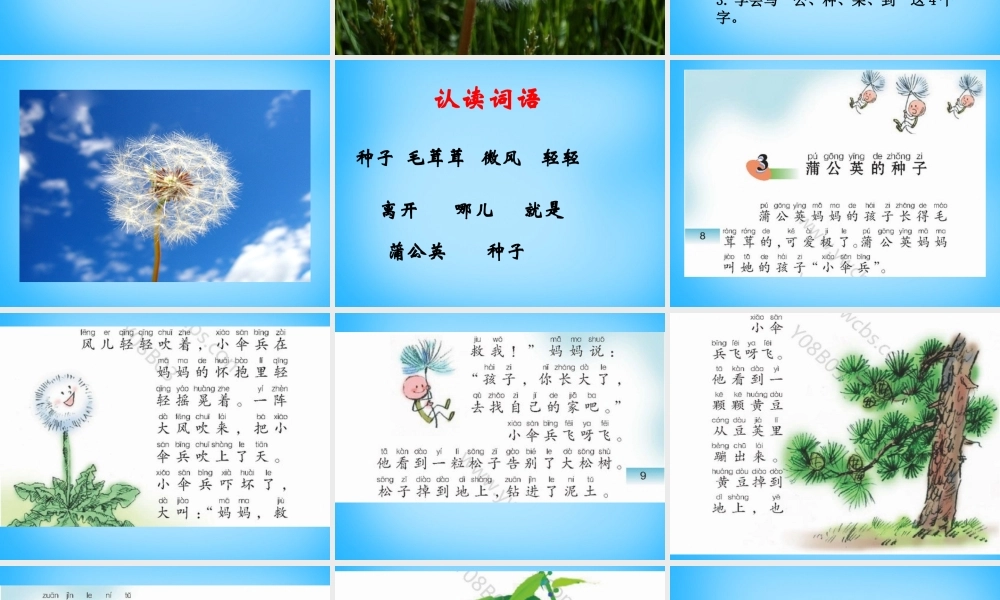二年级语文上册《蒲公英的种子》课件5 语文A版-语文A版小学二年级上册语文课件