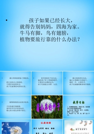 二年级语文上册《蒲公英的种子》课件5 语文A版-语文A版小学二年级上册语文课件
