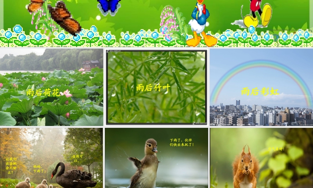 二年级语文下册 第3单元 9《雨后》课件5 语文S版-语文S版小学二年级下册语文课件