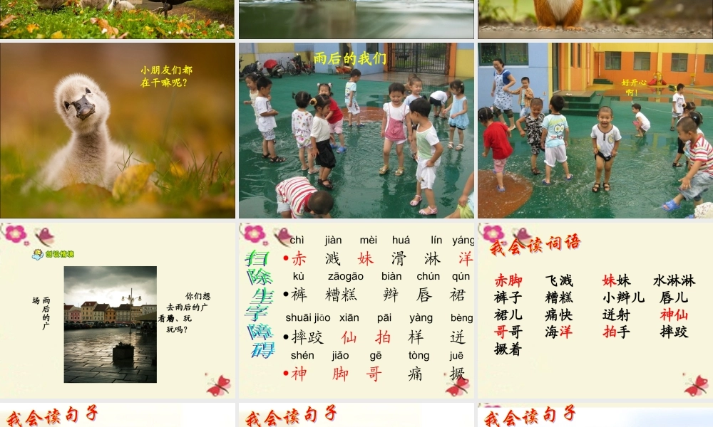 二年级语文下册 第3单元 9《雨后》课件5 语文S版-语文S版小学二年级下册语文课件