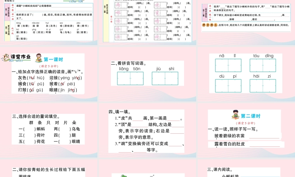 二年级语文上册 课文1 1《小蝌蚪找妈妈》课件2 新人教版-新人教版小学二年级上册语文课件