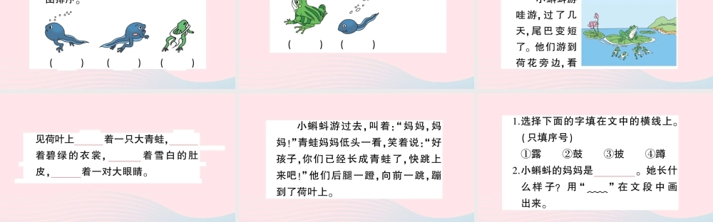 二年级语文上册 课文1 1《小蝌蚪找妈妈》课件2 新人教版-新人教版小学二年级上册语文课件