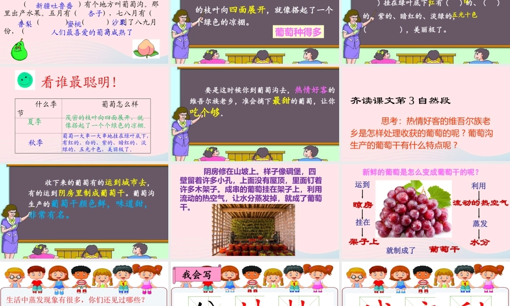 二年级语文上册 课文3 11《葡萄沟》课堂教学课件1 新人教版-新人教版小学二年级上册语文课件