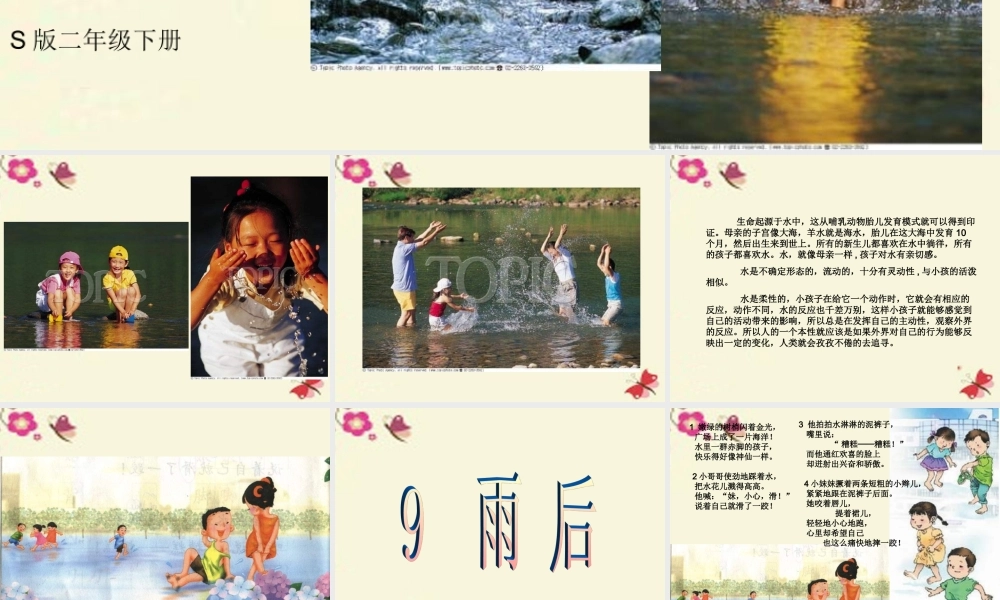 二年级语文下册 第3单元 9《雨后》课件8 语文S版-语文S版小学二年级下册语文课件