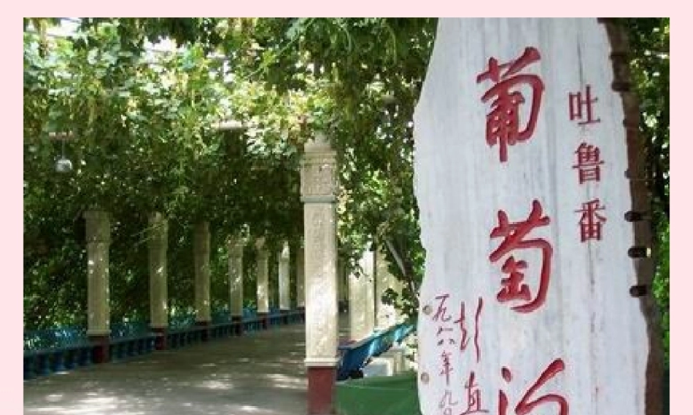 二年级语文上册 课文3 11《葡萄沟》课堂教学课件2 新人教版-新人教版小学二年级上册语文课件