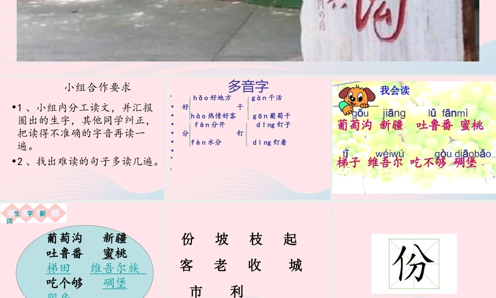 二年级语文上册 课文3 11《葡萄沟》课堂教学课件2 新人教版-新人教版小学二年级上册语文课件