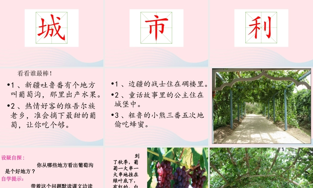 二年级语文上册 课文3 11《葡萄沟》课堂教学课件2 新人教版-新人教版小学二年级上册语文课件