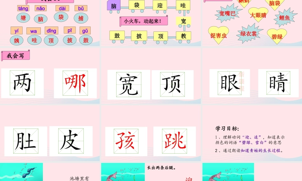 二年级语文上册 课文1 1《小蝌蚪找妈妈》课堂教学课件1 新人教版-新人教版小学二年级上册语文课件