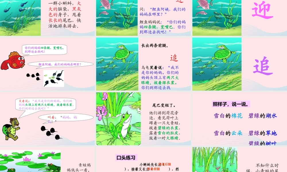 二年级语文上册 课文1 1《小蝌蚪找妈妈》课堂教学课件1 新人教版-新人教版小学二年级上册语文课件