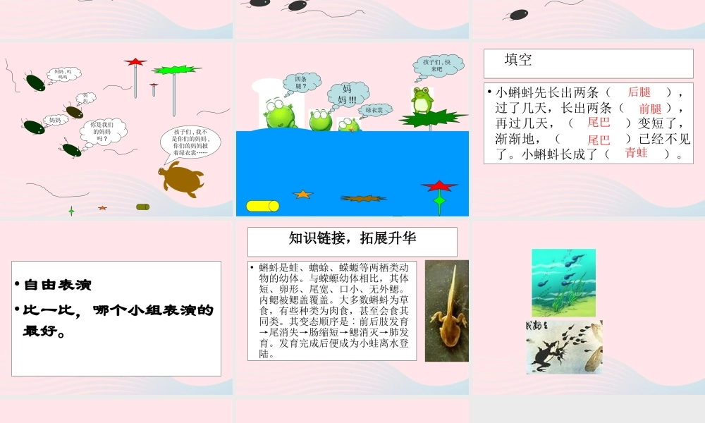 二年级语文上册 课文1 1《小蝌蚪找妈妈》课堂教学课件2 新人教版-新人教版小学二年级上册语文课件