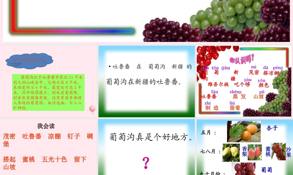 二年级语文上册 课文3 11《葡萄沟》课堂教学课件3 新人教版-新人教版小学二年级上册语文课件