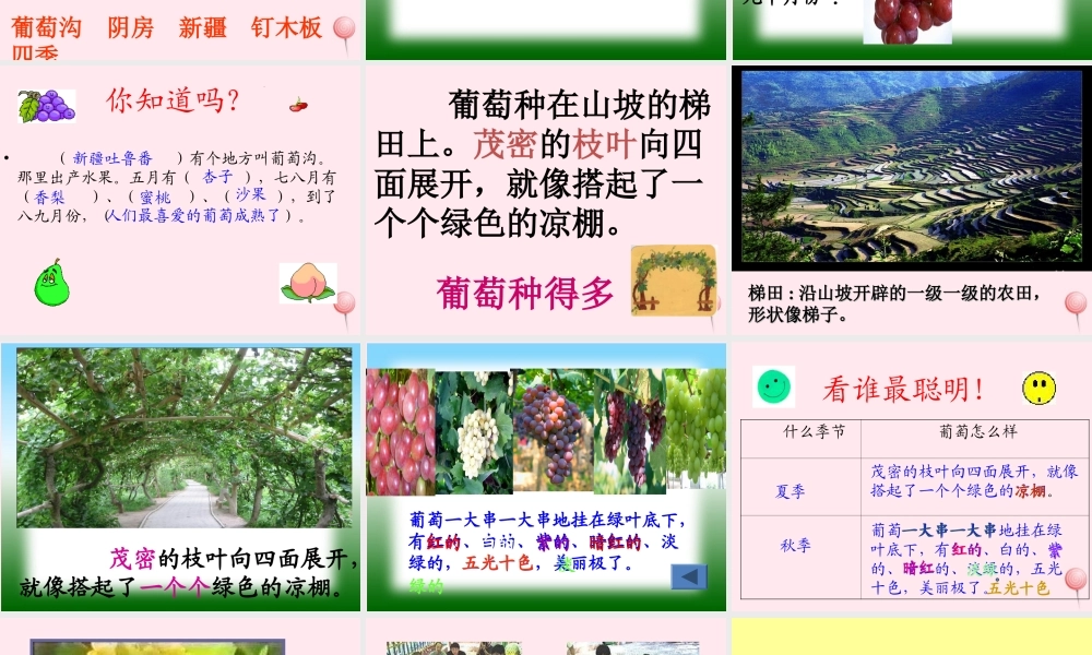 二年级语文上册 课文3 11《葡萄沟》课堂教学课件3 新人教版-新人教版小学二年级上册语文课件