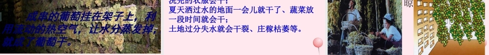 二年级语文上册 课文3 11《葡萄沟》课堂教学课件3 新人教版-新人教版小学二年级上册语文课件