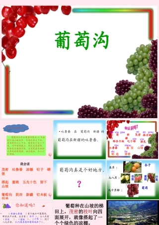 二年级语文上册 课文3 11《葡萄沟》课堂教学课件3 新人教版-新人教版小学二年级上册语文课件