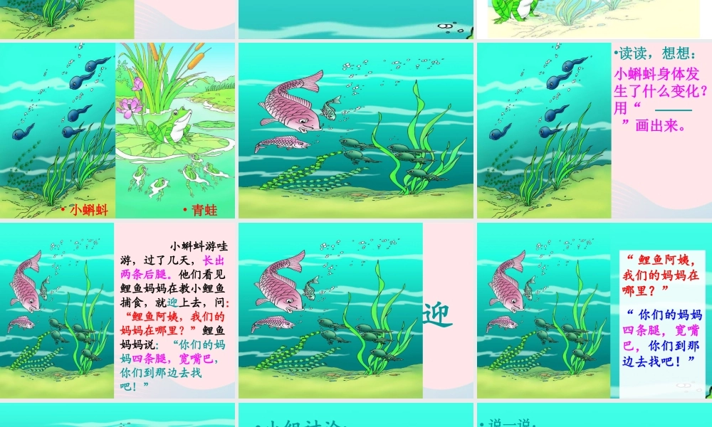 二年级语文上册 课文1 1《小蝌蚪找妈妈》课堂教学课件3 新人教版-新人教版小学二年级上册语文课件