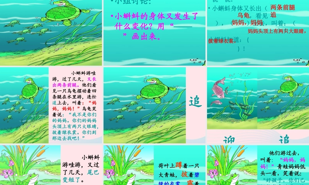 二年级语文上册 课文1 1《小蝌蚪找妈妈》课堂教学课件3 新人教版-新人教版小学二年级上册语文课件
