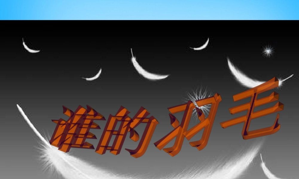 二年级语文上册《谁的羽毛》课件1 语文A版-语文A版小学二年级上册语文课件
