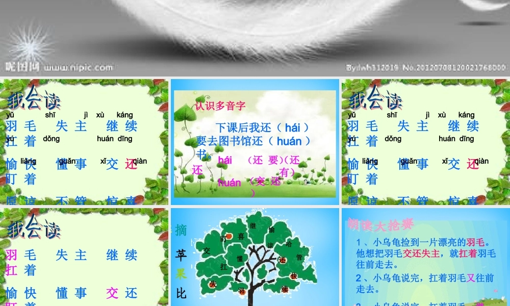 二年级语文上册《谁的羽毛》课件1 语文A版-语文A版小学二年级上册语文课件