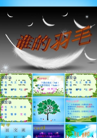 二年级语文上册《谁的羽毛》课件1 语文A版-语文A版小学二年级上册语文课件