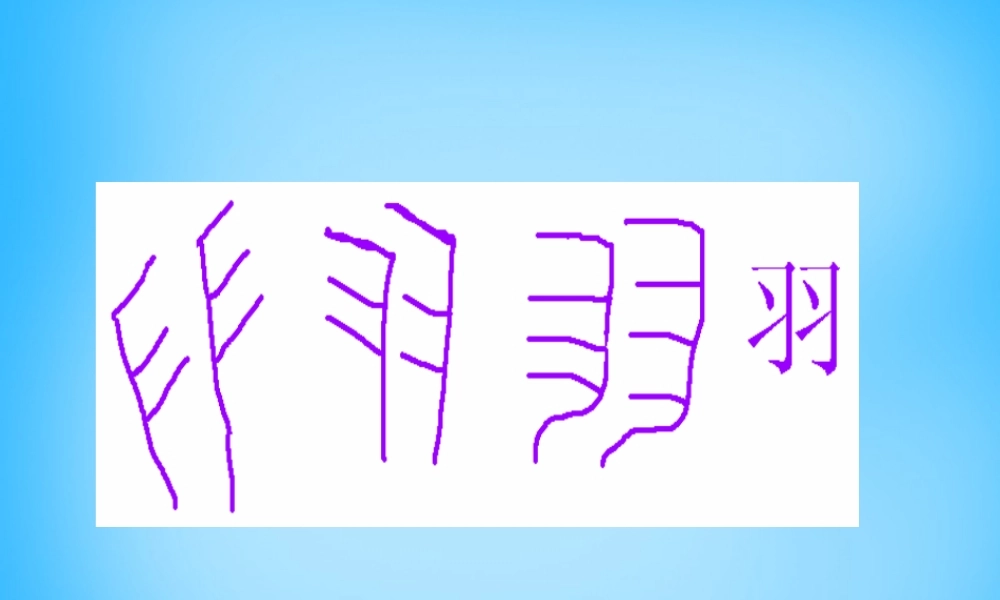 二年级语文上册《谁的羽毛》课件2 语文A版-语文A版小学二年级上册语文课件