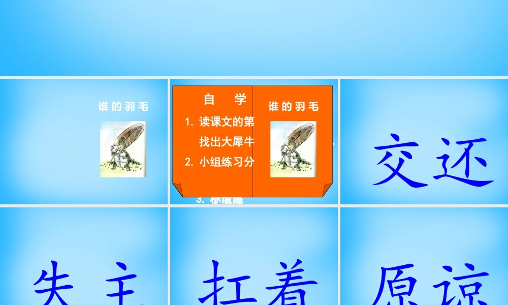 二年级语文上册《谁的羽毛》课件2 语文A版-语文A版小学二年级上册语文课件