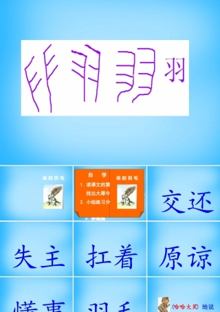 二年级语文上册《谁的羽毛》课件2 语文A版-语文A版小学二年级上册语文课件