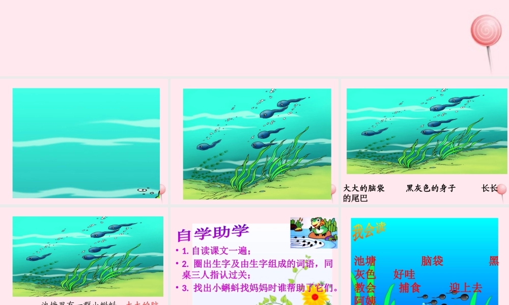 二年级语文上册 课文1 1小蝌蚪找妈妈课件 新人教版-新人教版小学二年级上册语文课件