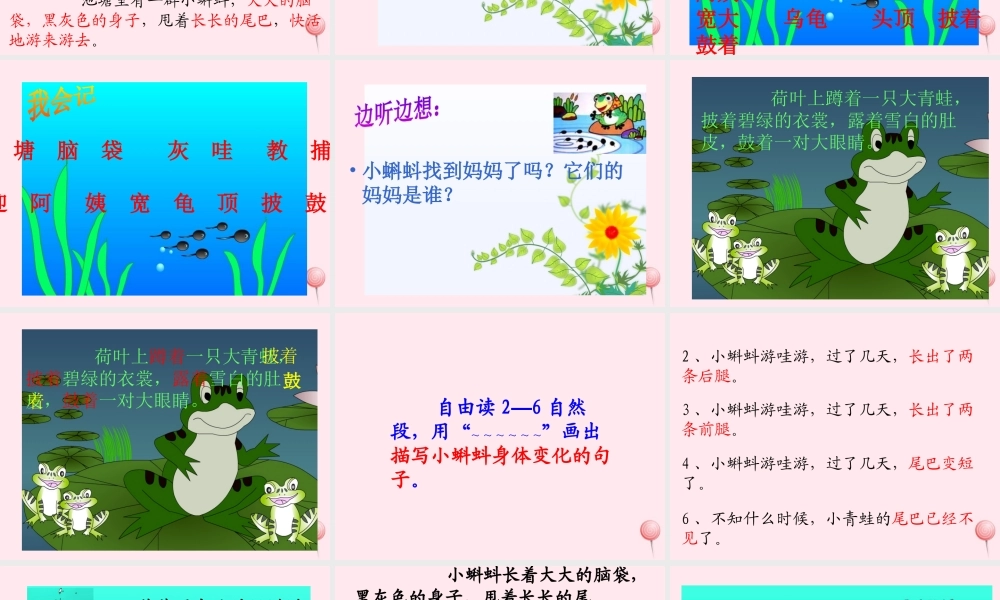 二年级语文上册 课文1 1小蝌蚪找妈妈课件 新人教版-新人教版小学二年级上册语文课件