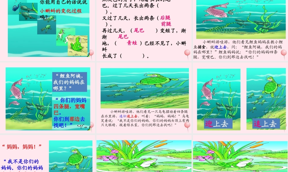 二年级语文上册 课文1 1小蝌蚪找妈妈课件 新人教版-新人教版小学二年级上册语文课件