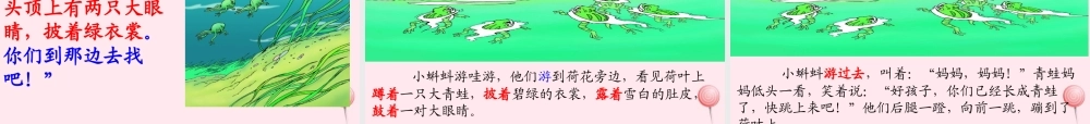 二年级语文上册 课文1 1小蝌蚪找妈妈课件 新人教版-新人教版小学二年级上册语文课件
