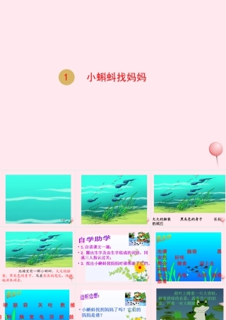 二年级语文上册 课文1 1小蝌蚪找妈妈课件 新人教版-新人教版小学二年级上册语文课件